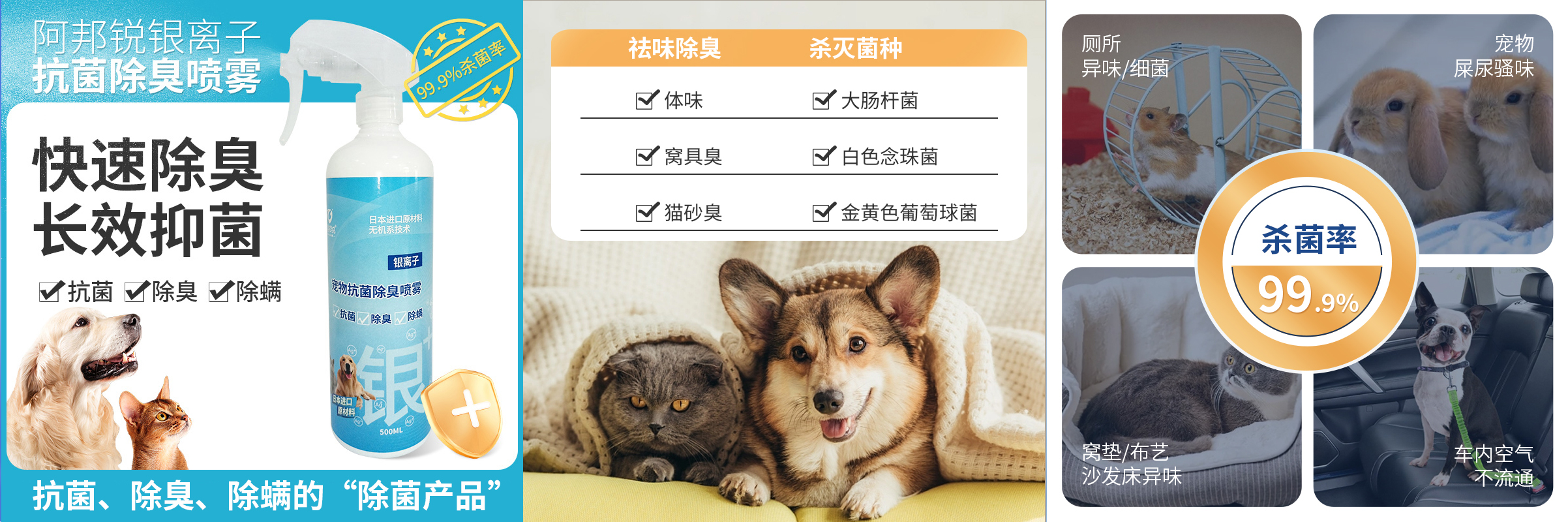 宠物.jpg